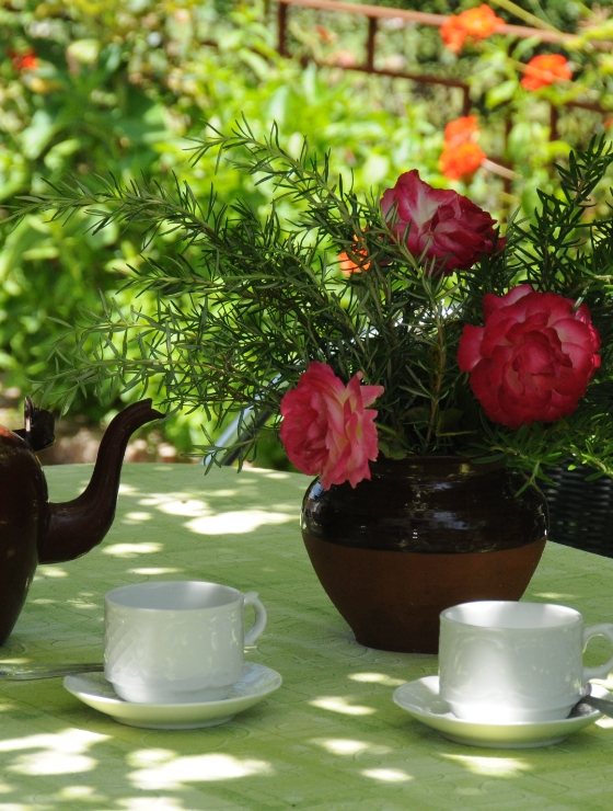 La morera 6 - Finca Montefrío