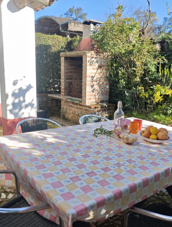 Misolete 13 - Finca Montefrío