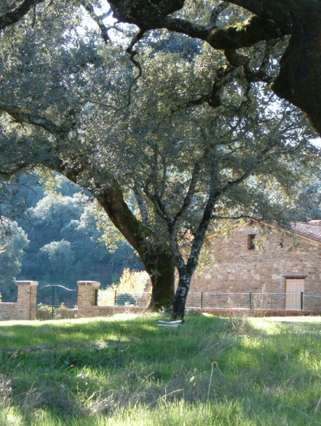Casas Rurales y Ecoturismo en Huelva 4 - Finca Montefrío