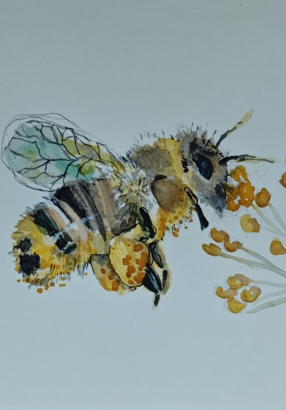 Otras Actividades y Talleres Rurales 5 - Finca Montefrío