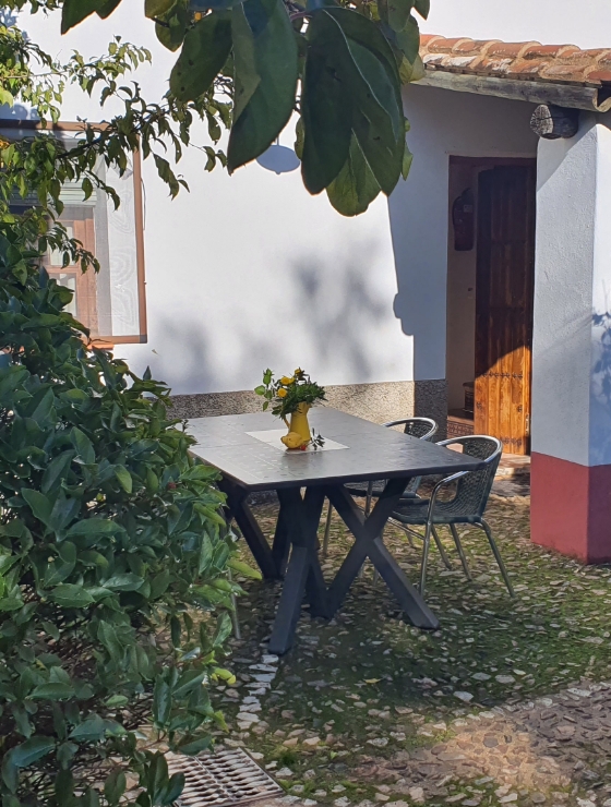 Misolete 15 - Finca Montefrío