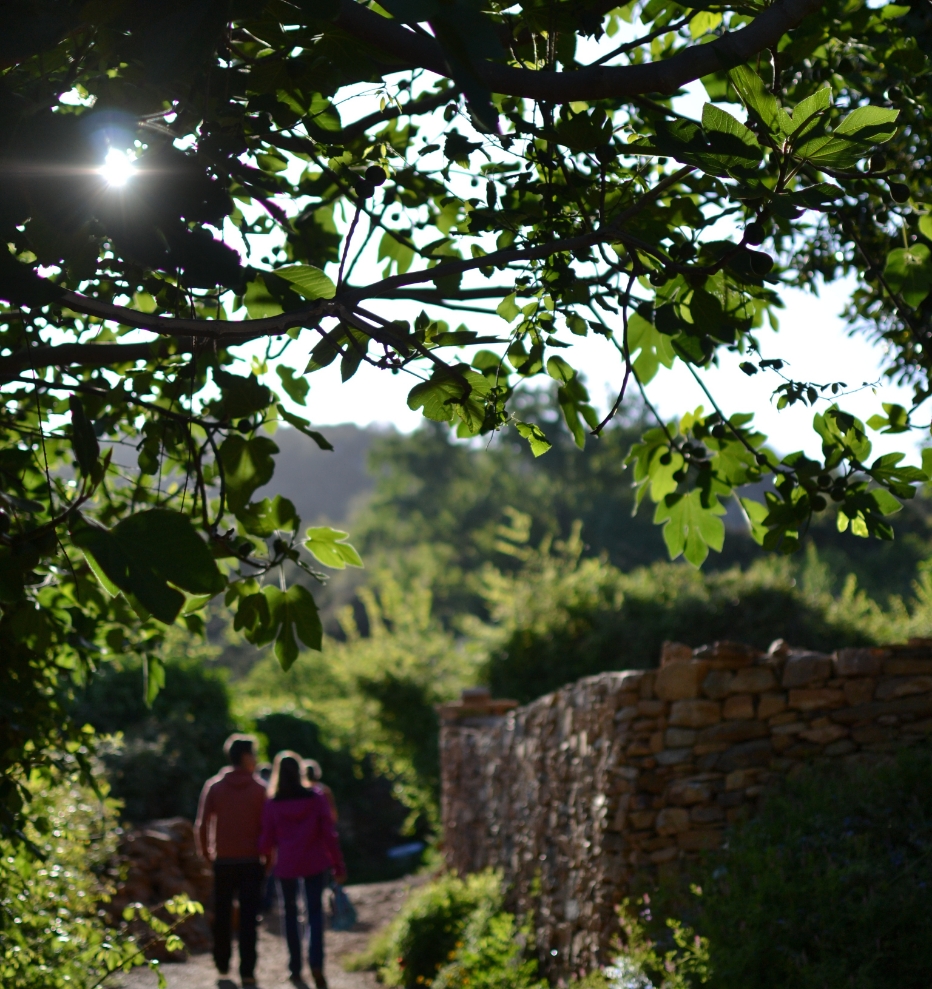Dónde estamos 6 - Finca Montefrío
