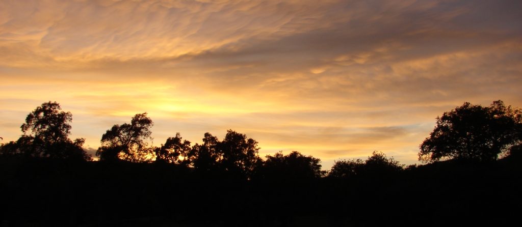 Dónde estamos 4 - Finca Montefrío