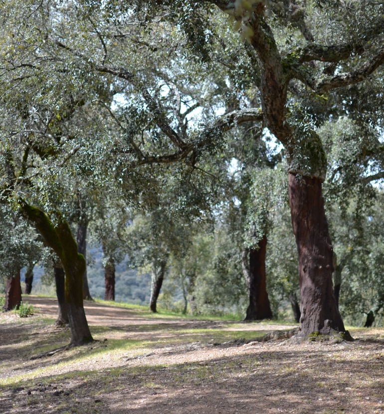 Dónde estamos 1 - Finca Montefrío