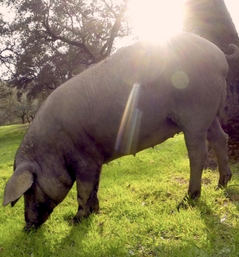 Dónde estamos 3 - Finca Montefrío